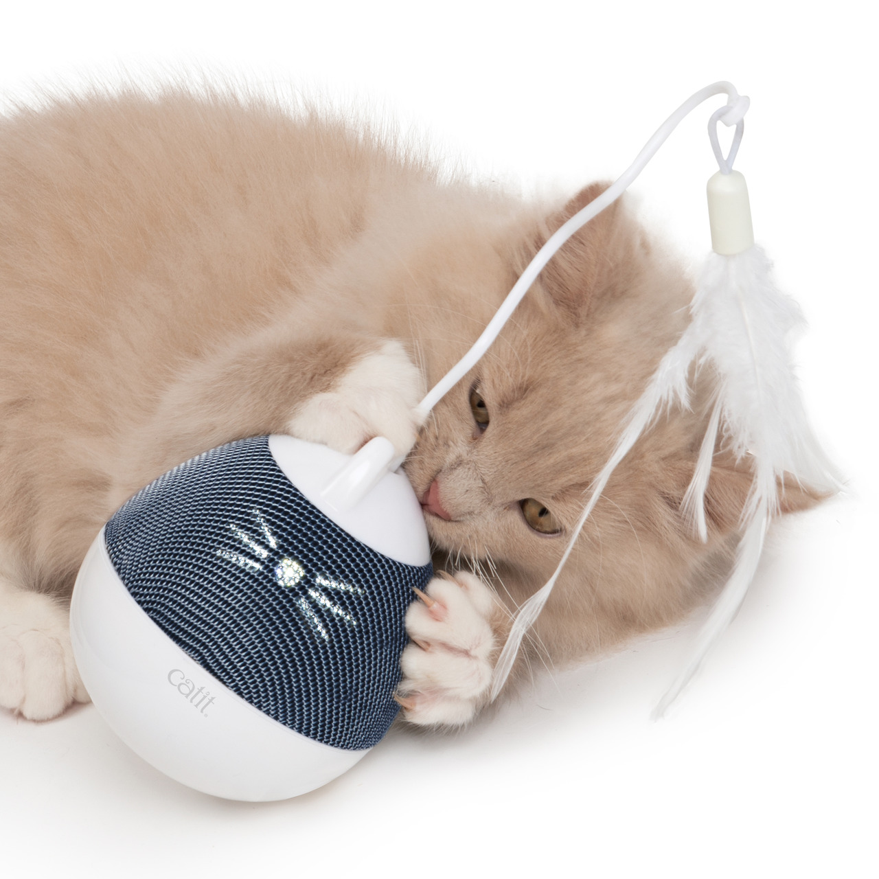 Catit PIXI Spielzeug für Katzen, blau-weiß, LED-Katzenmotiv, mit Feder an Schnur, ideal für junge & aktive Katzen.