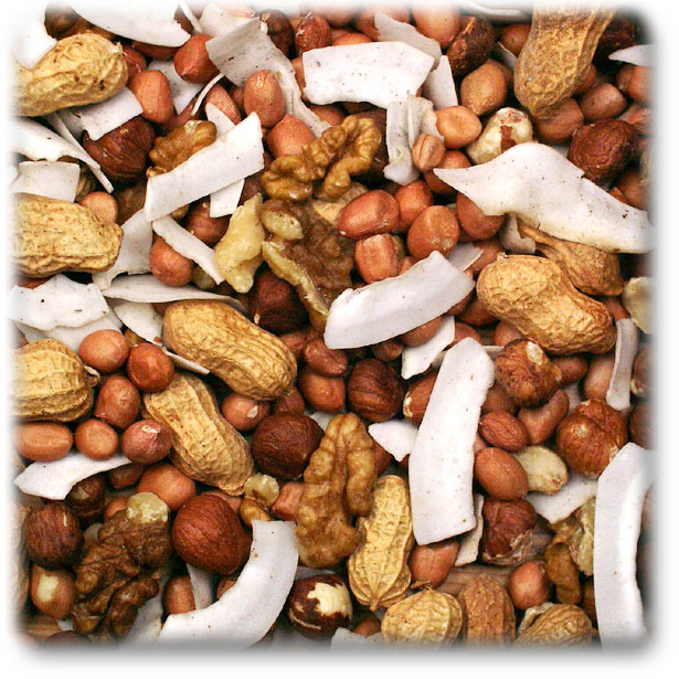 JR FARM Nuss-Frucht-Mix für Nagetiere & Vögel, mit Erdnüssen, Walnüssen, Haselnüssen & Kokoschips. Verpackungsmenge nicht erkennbar.