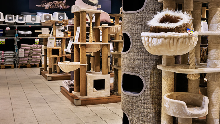 Regale Dsc6815 768x432px