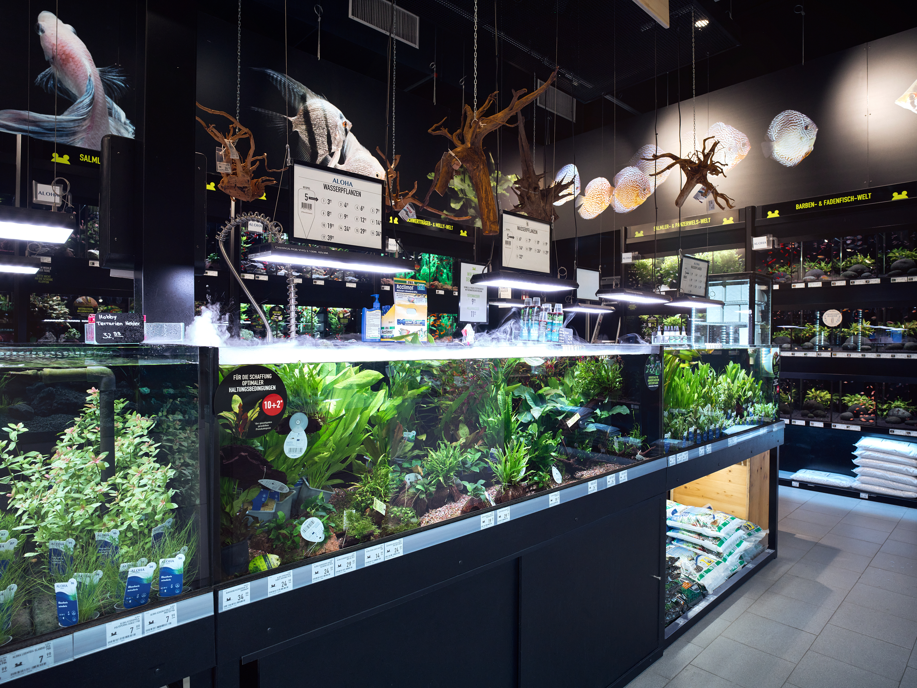 20250926 Koellezoo 00450