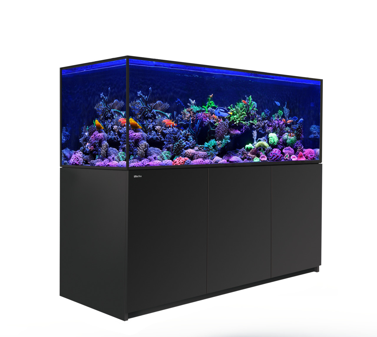 Das Bild zeigt das Red Sea Reefer XXL 750 Aquarium, ein hochwertiges Meerwasseraquarium für erfahrene Aquaristik-Enthusiasten. Es ist mit einem schwarzen Unterschrank ausgestattet und präsentiert eine lebendige Unterwasserwelt mit bunten Korallen und trop
