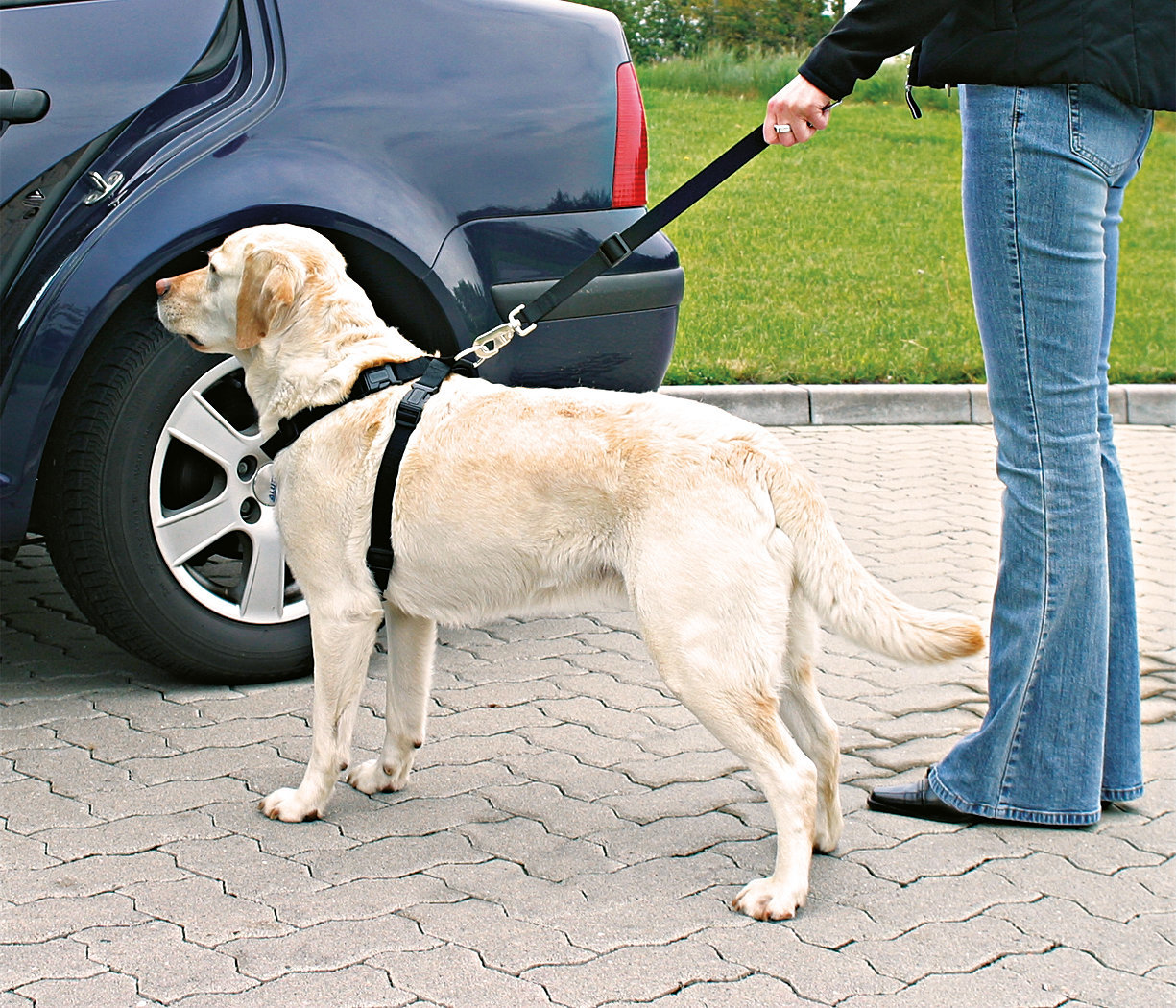 Trixie Auto-Geschirr Hunde Autozubehör M