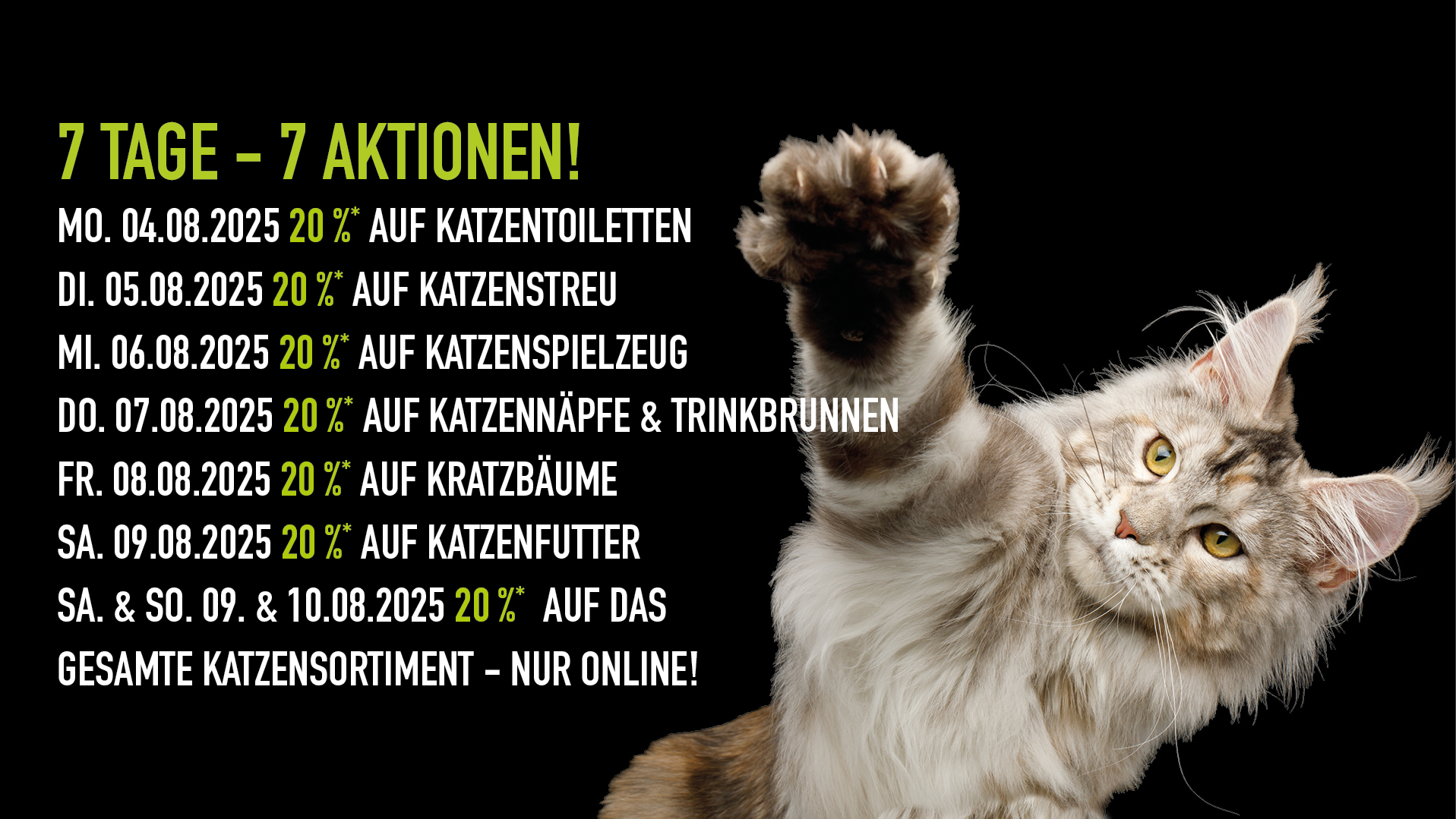 Weltkatzenwoche Banner Ankündigung 04.-10.08.25 einzelne Tagesaktionen