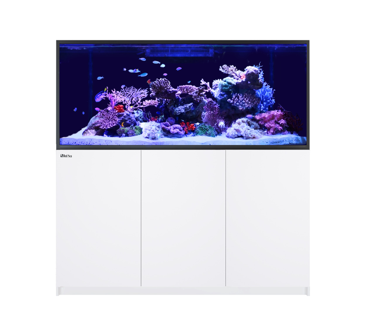 Das Bild zeigt das Red Sea Reefer 3XL 900 Aquarium, ein hochwertiges Meerwasseraquarium für erfahrene Aquaristik-Enthusiasten. Es ist mit einem modernen weißen Unterschrank ausgestattet und präsentiert eine lebendige Unterwasserlandschaft mit Korallen, Fi