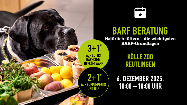 061225 Barf Reutlingen Mobile 768x432px6