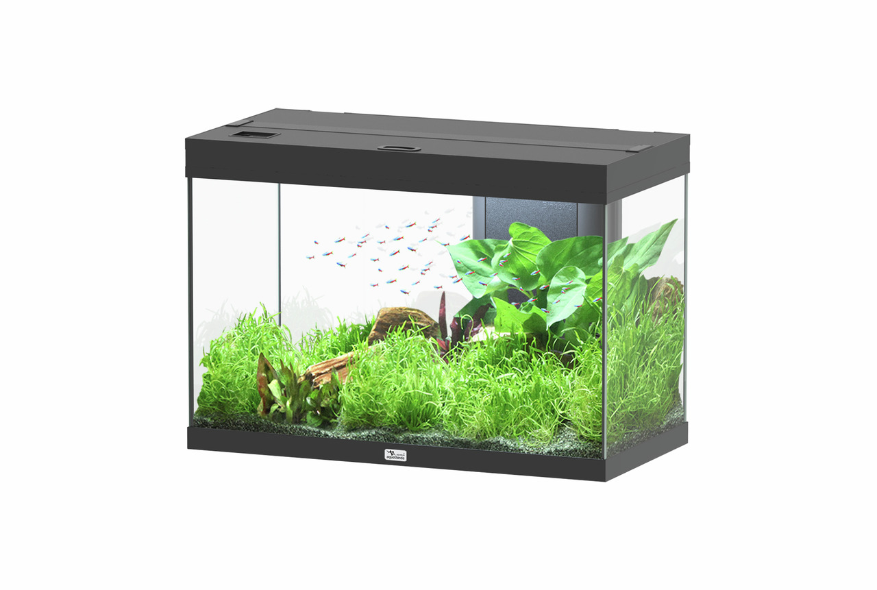 aquatlantis Splendid Ultra 145 schwarz Aquarium