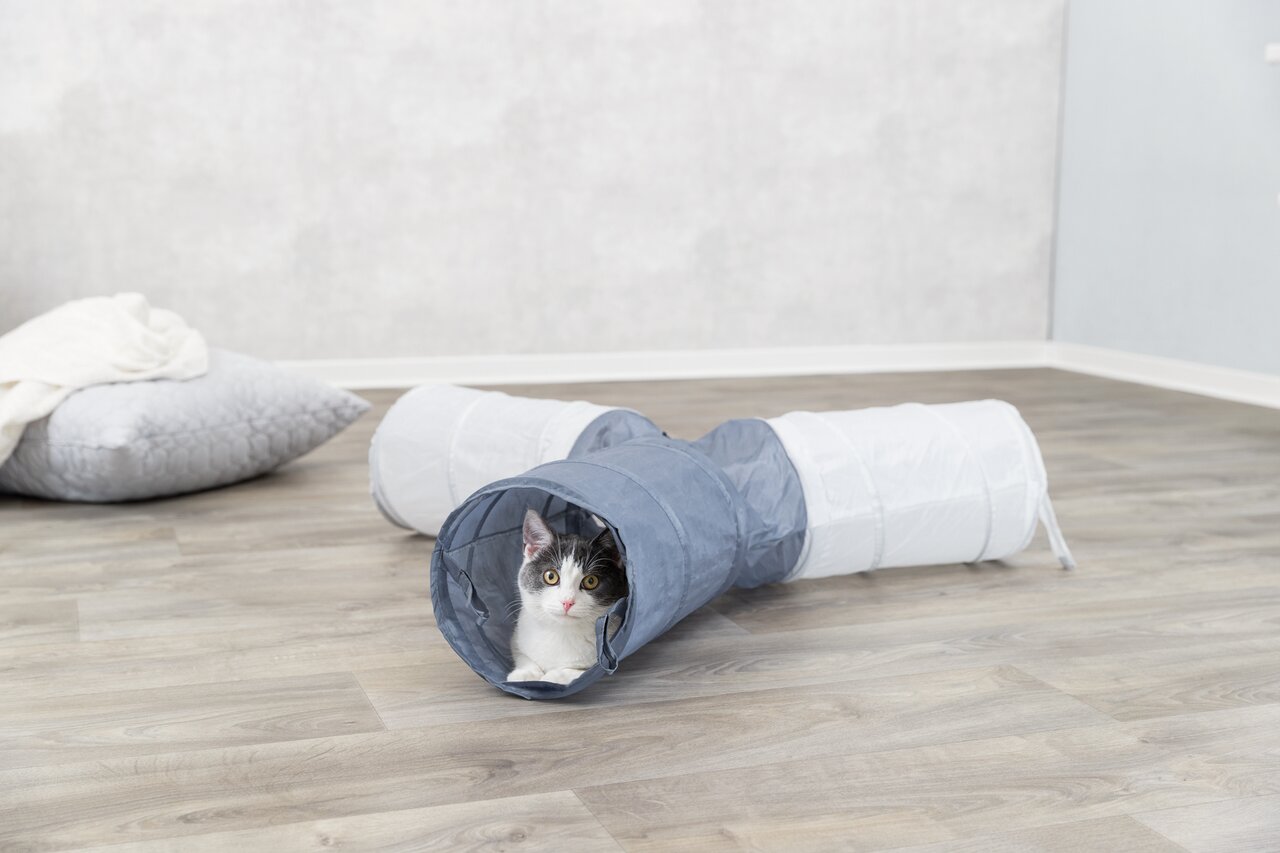 Katzenjunges im TRIXIE-Spieltunnel aus Nylon, grau-weiß, für Katzen, ideal zum Spielen und Verstecken, ca. 115 cm lang.