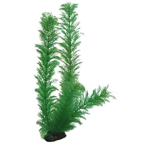 HOBBY Kunstpflanze Cabomba, 30 cm, für Süß--Meerwasseraquarien, Versteckmglk. für Fische, natürl. Grünton, ideal für Aquarienfans.