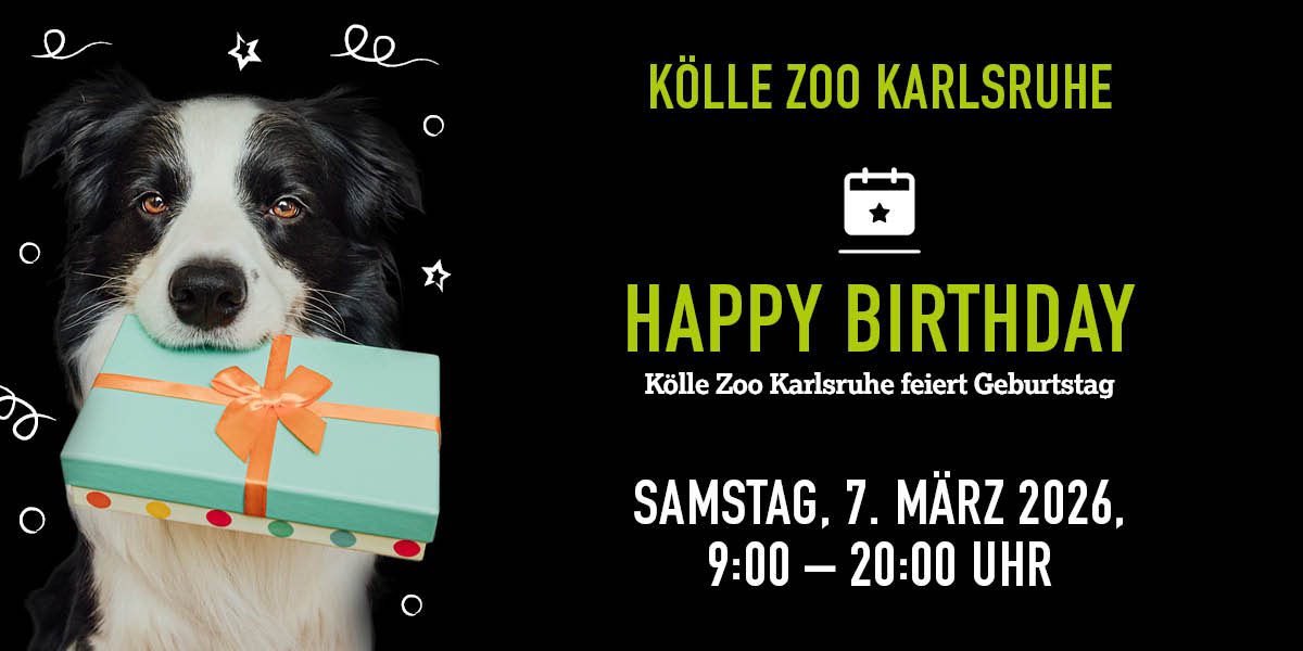 Hund mit Geschenk im Maul. Rechte Seite Infos zur Geburtstagsaktion