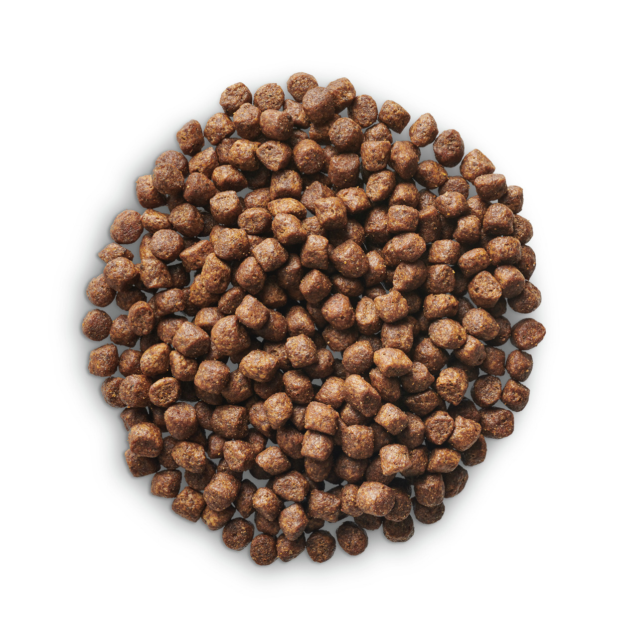 Lottis Häppchen Trockenfutter, hochwertig, für ausgewachsene Hunde, Geschmacksrichtung nicht angegeben.