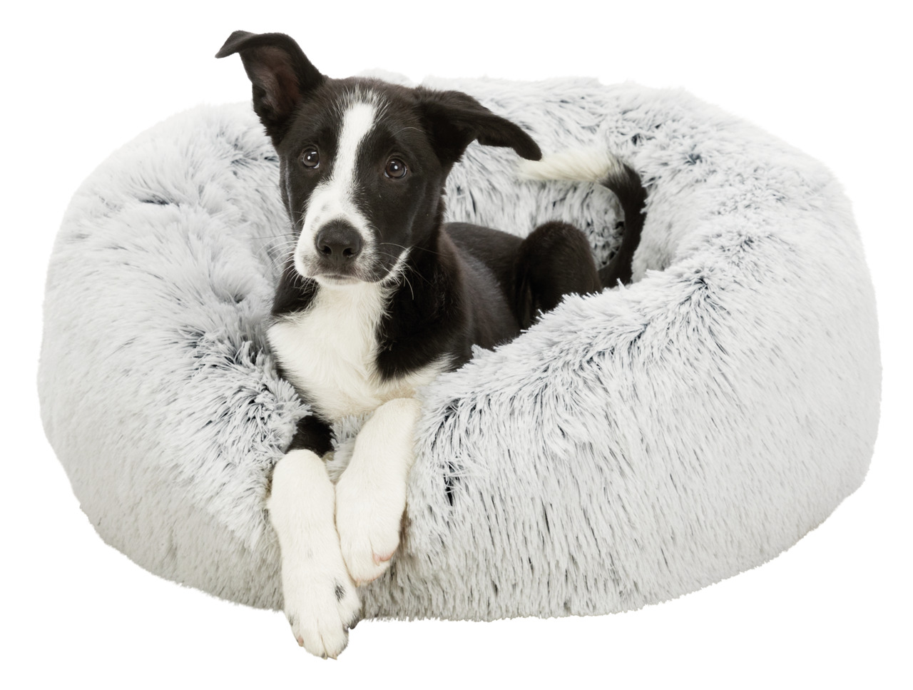 Das Bild zeigt ein TRIXIE Hundebett in runder Form, gefüllt mit einem flauschigen, hellgrauen Stoff. Darin liegt ein schwarz-weißer Hund, der entspannt und aufmerksam in die Kamera schaut. Das Bett ist für Hunde geeignet und bietet durch das weiche Materi