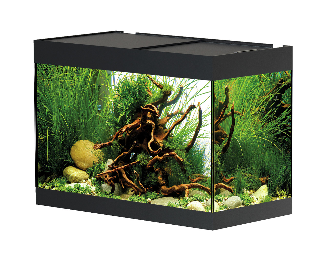 Oase StyleLine Aquarium 85, modernes Aquarium f. Aquaristik-Fans, schwarz, inkl. Pflanzen, Steine, Wurzel, f. Süßwasserfische.