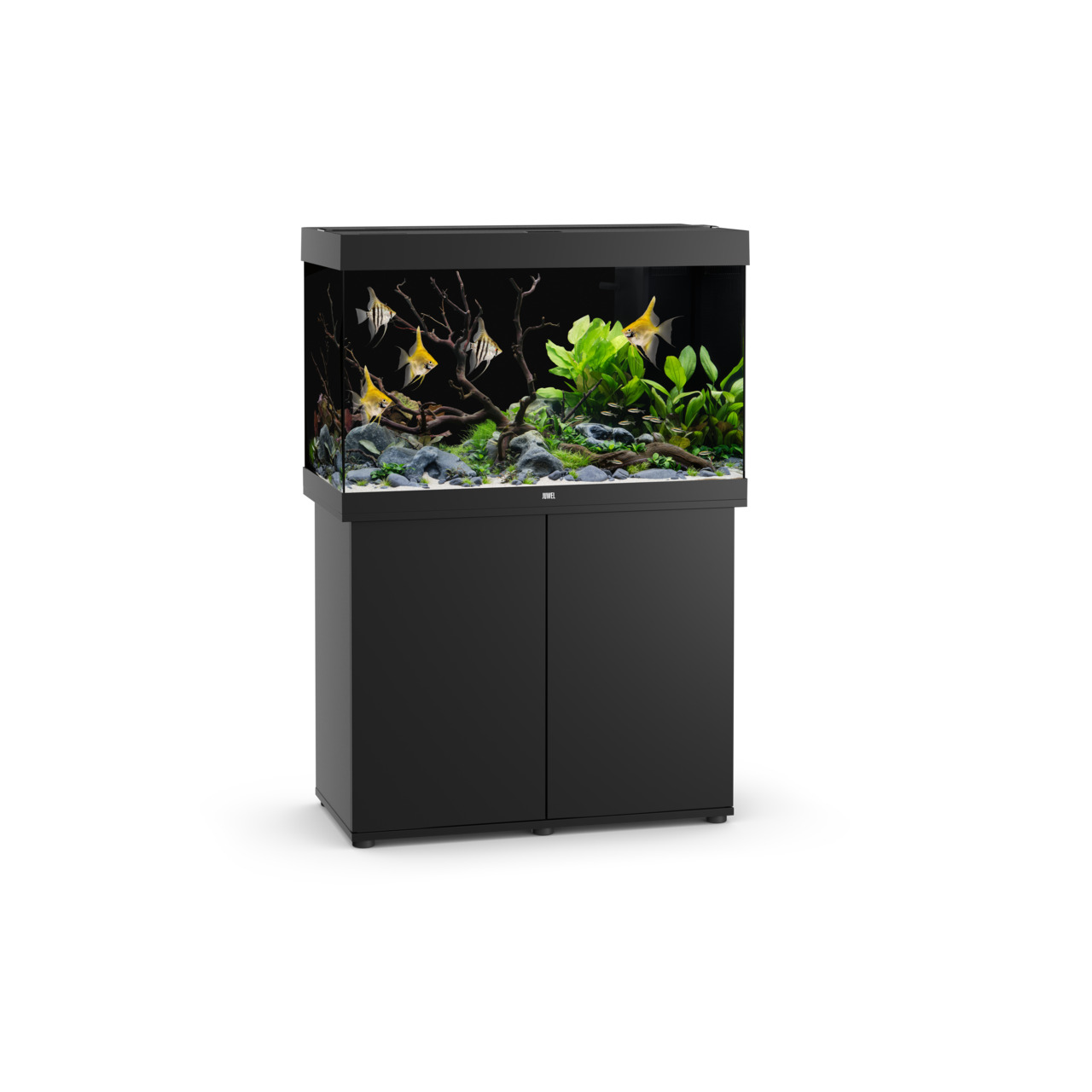 JUWEL Rio 240 LED Aquarium, Schwarz, 240 L, für Aquaristik-Enthusiasten, mit moderner LED-Beleuchtung, inkl. Pflanzen & Skalaren.