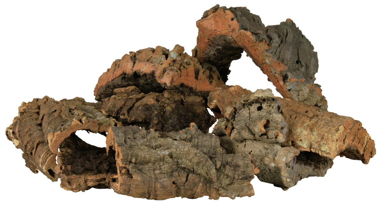 TRIXIE Korkröhre, Versteck & Kletterelement für Reptilien/Amphibien, Naturmaterial, Schutz & Rückzug, Größe/Form variabel.