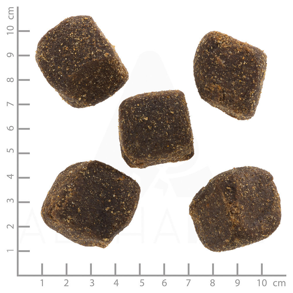 Das Bild zeigt Wolfsblut Wild Duck Soft Snacks, ein getreidefreies Hundeleckerli für ausgewachsene Hunde. Die Snacks sind würfelförmig, dunkelbraun und etwa 2 cm groß. Sie bestehen aus Ente als Hauptzutat und eignen sich ideal als Belohnung. Verpackungsme