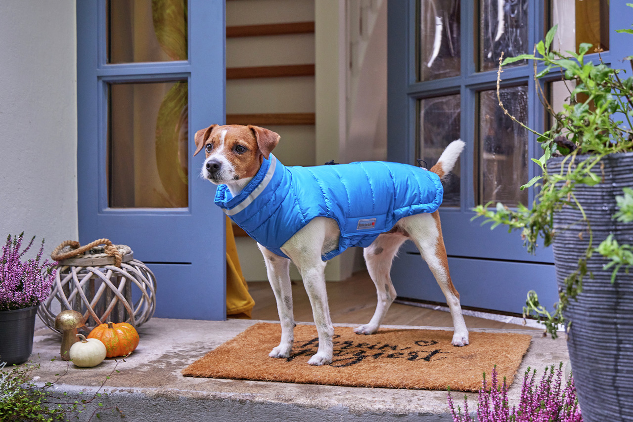 Wolters Steppjacke Cosy 38 cm royalblau