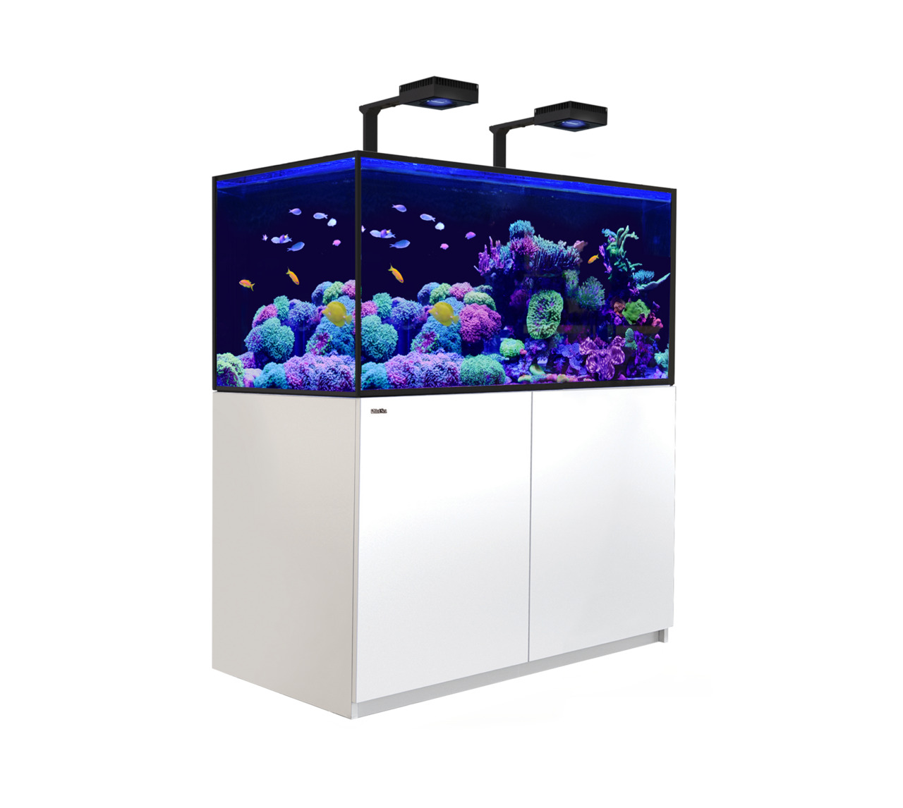 Das Bild zeigt das Red Sea Reefer 350, ein hochwertiges Aquarium für Meerwasserliebhaber. Es ist auf einem weißen Unterschrank montiert und enthält eine lebendige Unterwasserlandschaft mit bunten Korallen und tropischen Fischen. Das Aquarium ist ideal für