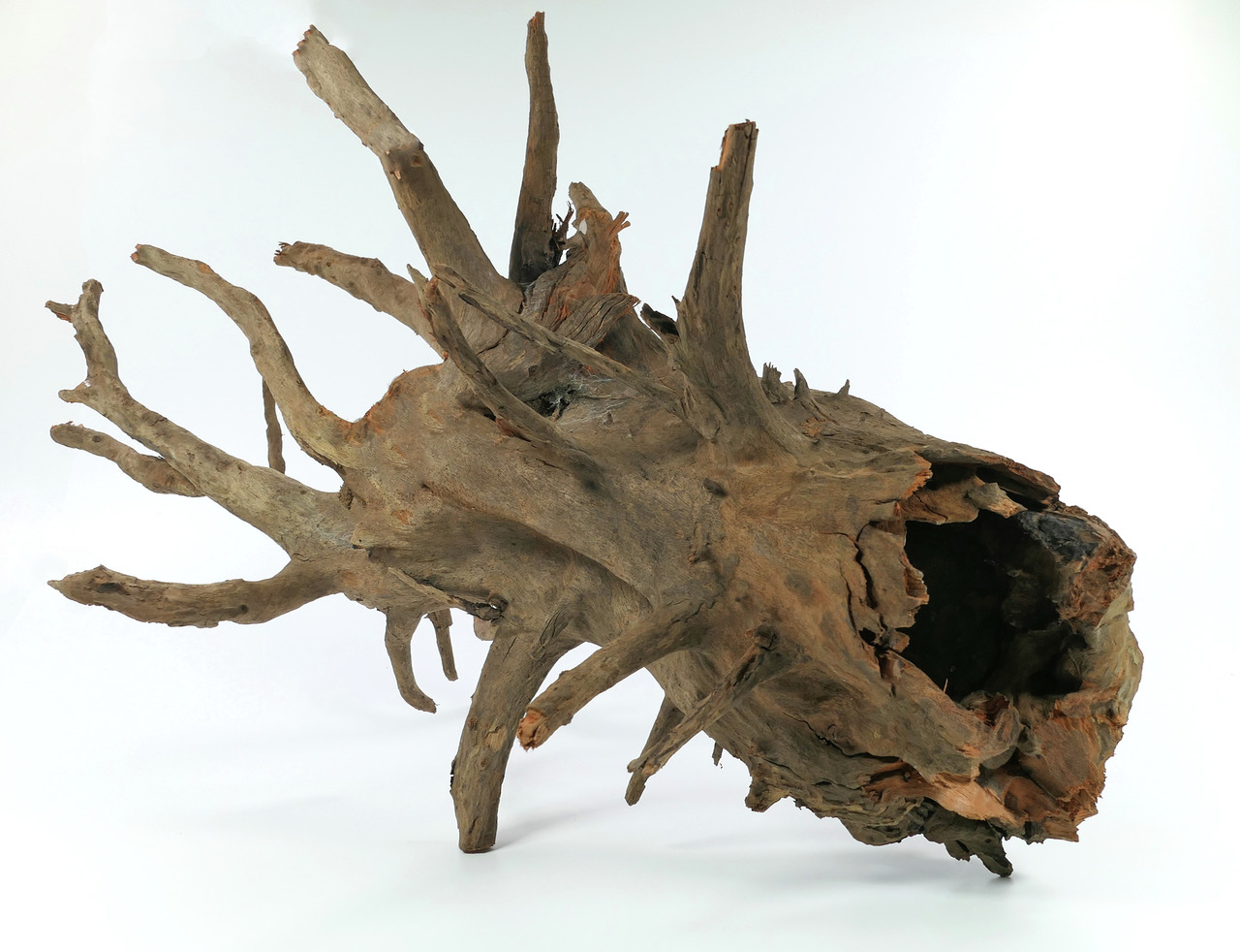 ORBIT Treibholz, für Aquarien-Terrarien, unregelmäßige Form, hohle Öffnung, Versteck für Fische-Reptilien, natürl. Umgebung.