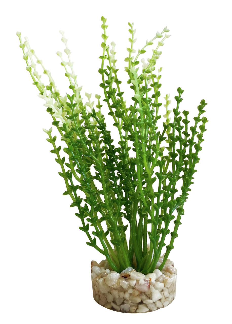 Sydeco künstl. Aquariumpflanze, grün, stabiler Sockel (weiße-beige Steine), für Aquarienliebhaber, ideal für nat. Ambiente.