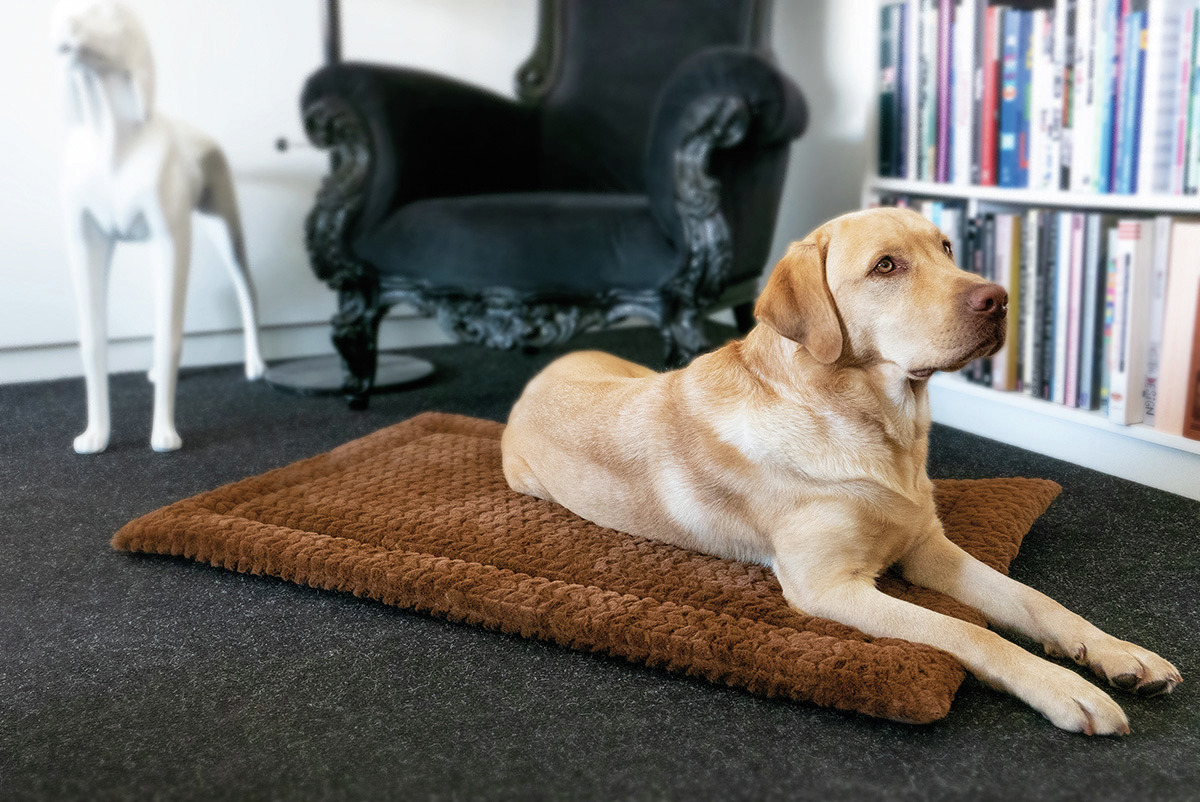 Petlando Hundematte, weich gepolstert, Komfort f. Hunde, Zielgr.: Hundehalter, braun, ideal f. entspanntes Liegen.