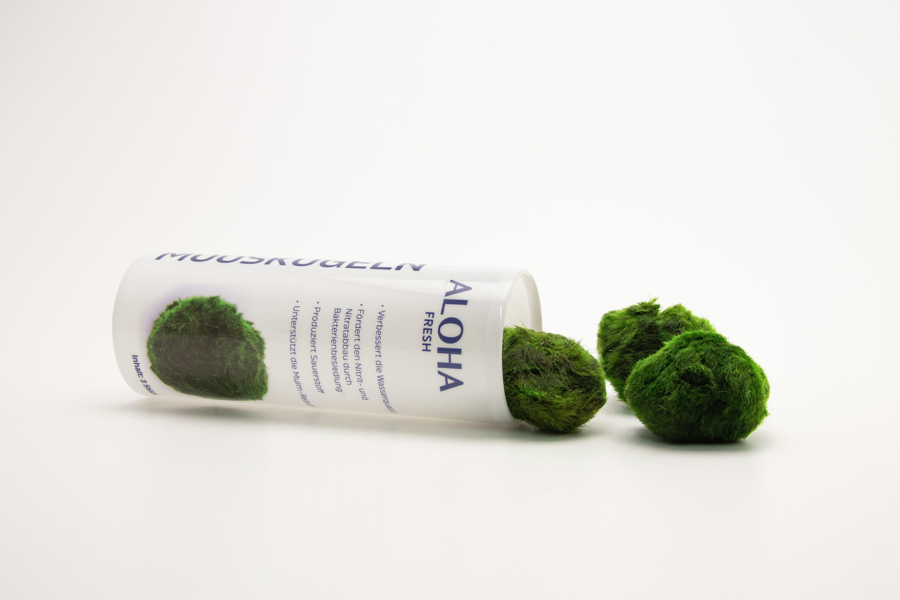Dennerle Plants Mooskugeln Aloha Fresh, für Aquarienbesitzer, fördert Pflanzenwachstum & Wasserqualität, enthält mehrere grüne Kugeln.
