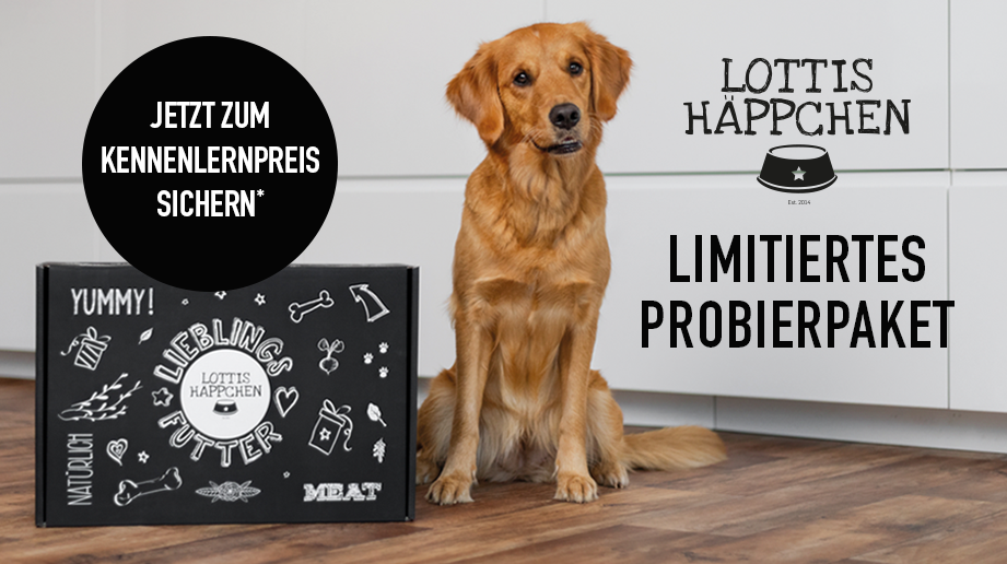 Neue LOTTIS HÄPPCHEN Probierbox, Golden Retriever sitzt neben der Box