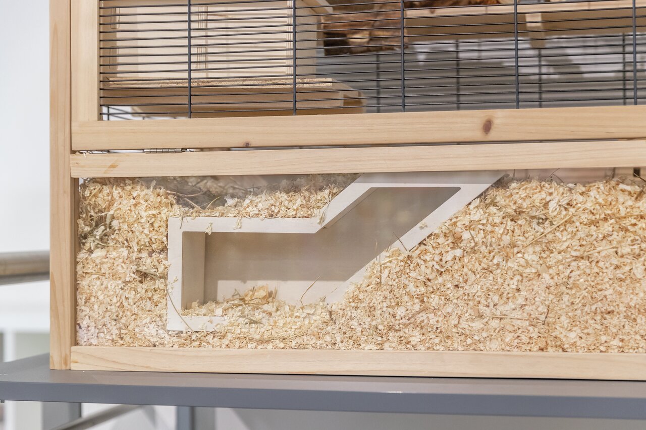 Kleintierkäfig aus Holz mit Glas-Element und Einstreu von TRIXIE, geeignet für Kleinnager, bietet vielfältige Versteckmöglichkeiten.