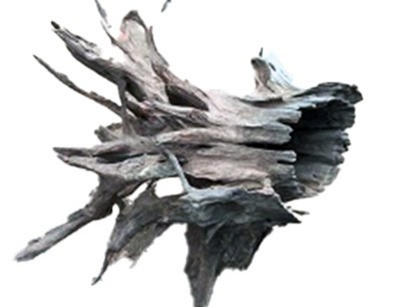 Aquadeco Treibholz, für Aquarien-Terrarien, Versteck f. Fische-Reptilien, dunkles Holz, naturgetreu, dekorativ.