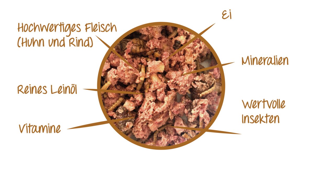 Claus Nassfutter für Hunde, Huhn, Rind, Insekten, Ei, Leinöl, Vitamine, Mineralien, ausgewogene Ernährung, 4009788063128.