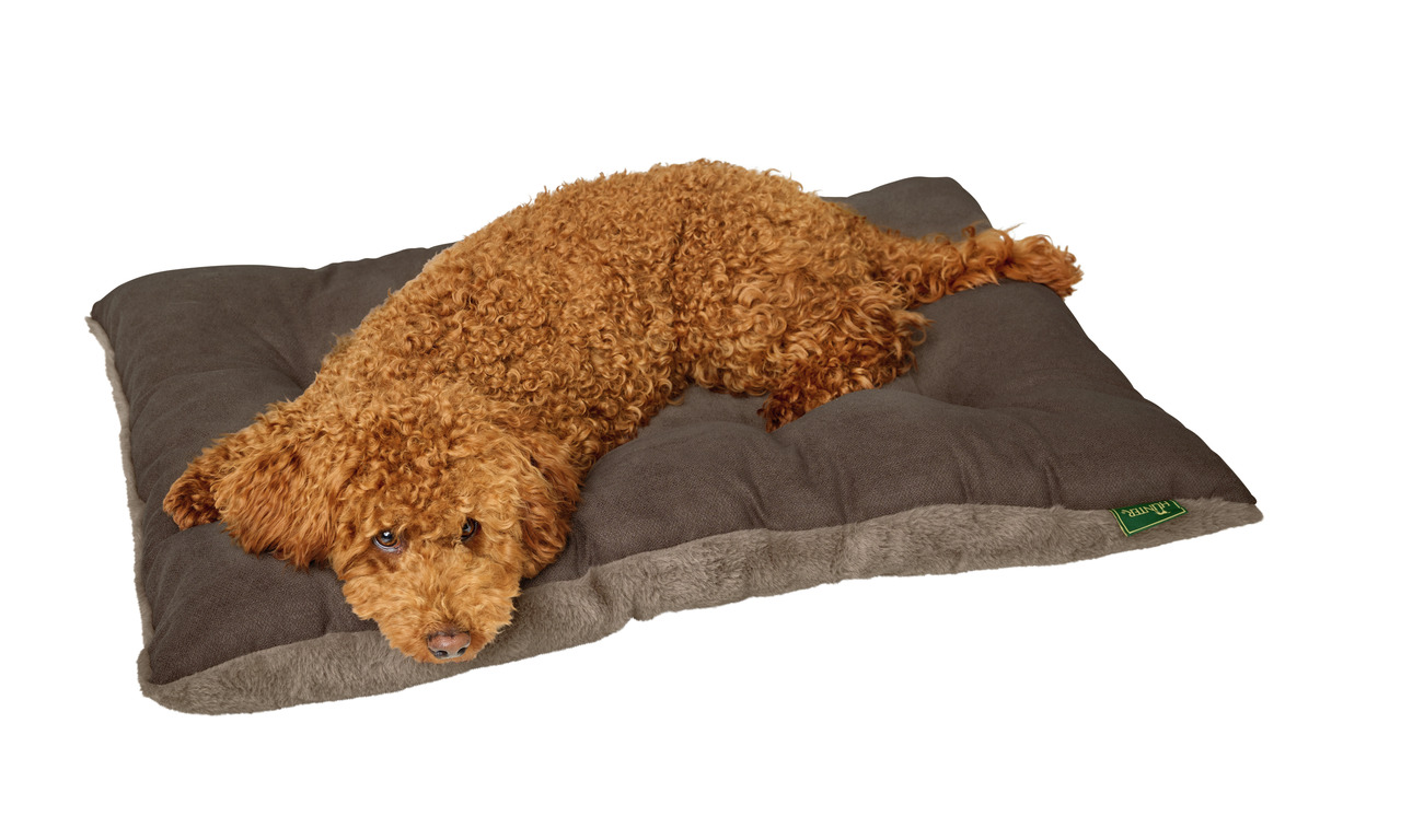 HUNTER Hundekissen, grau, flauschig, für Hunde aller Größen, ideal für Zuhause/unterwegs, bietet Komfort.