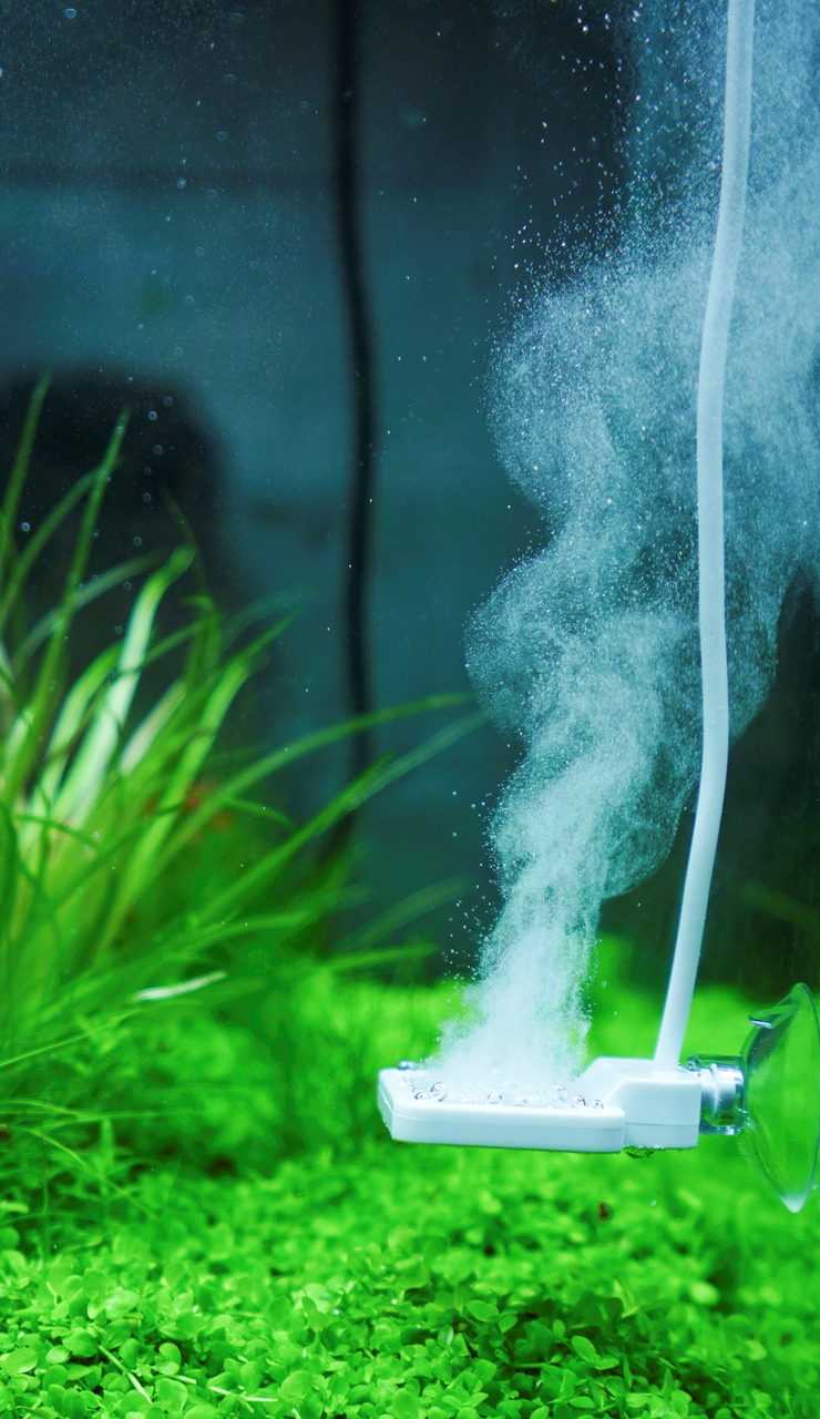 Chihiros CO2-Diffusor, Zubehör für Aquarien, fördert Pflanzenwachstum durch feine CO2-Blasen, gleichm. Verteilung im Wasser.