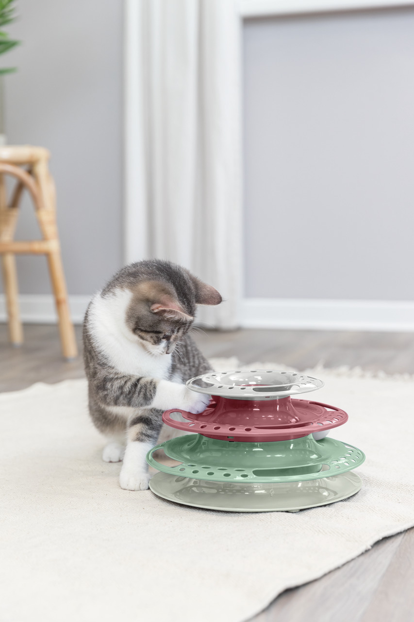 Ein junges Kätzchen spielt mit dem TRIXIE Cat Activity Turn Around, einem interaktiven Katzenspielzeug. Das Produkt besteht aus drei farbigen Ebenen in Rot, Grün und Beige und fördert die Geschicklichkeit sowie die geistige Aktivität von Katzen. Geeignet 
