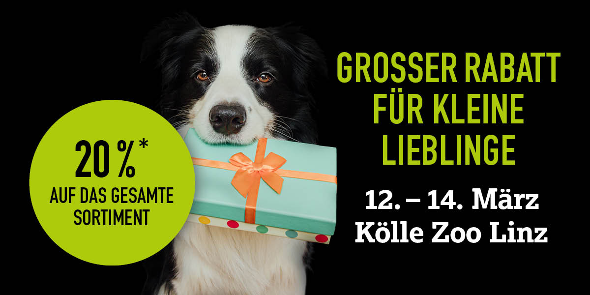 Hund mit Geschenk im Maul. Rechte Seite Infos zur Sparaktion