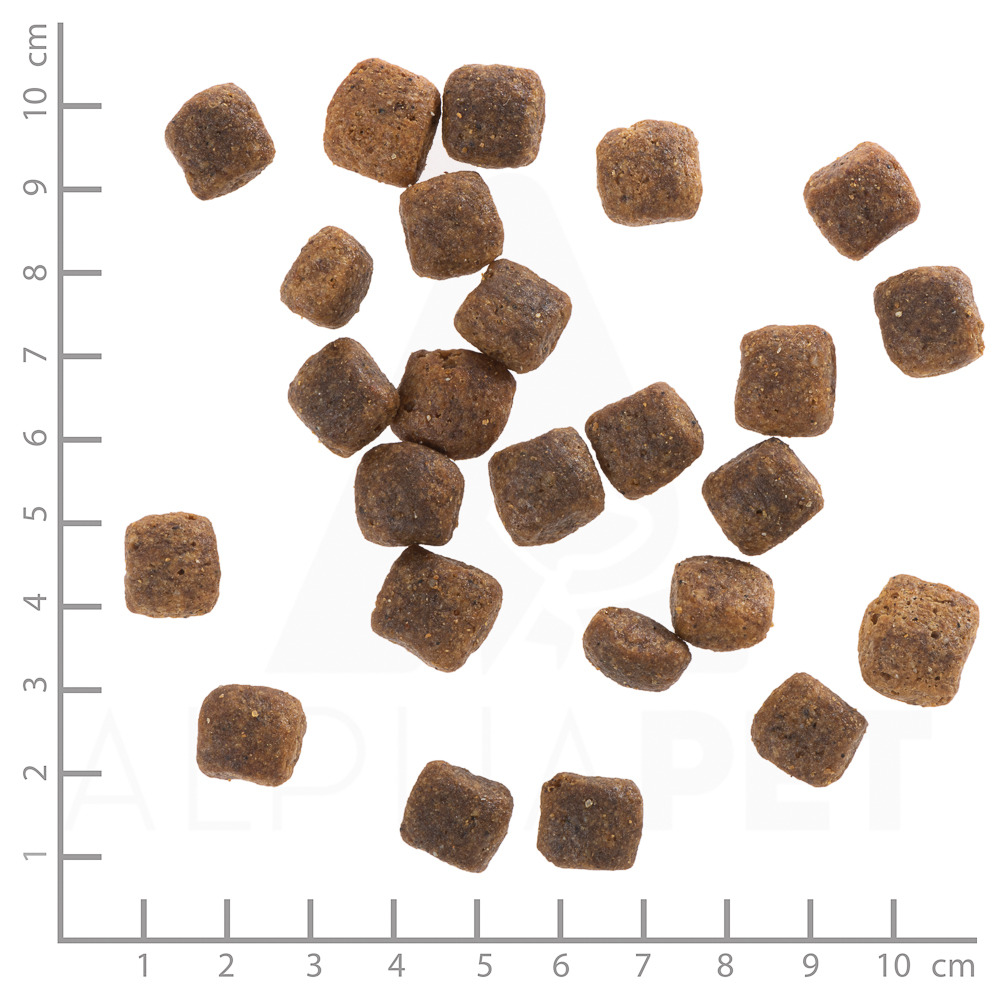 Das Bild zeigt Wolfsblut Trockenfutter für Hunde, geeignet für ausgewachsene Hunde. Die abgebildeten Kroketten sind würfelförmig und braun, mit einer Größe von etwa 1 bis 2 cm. Die Geschmacksrichtung ist Wildfleisch, und die Marke wirbt mit hochwertiger, 