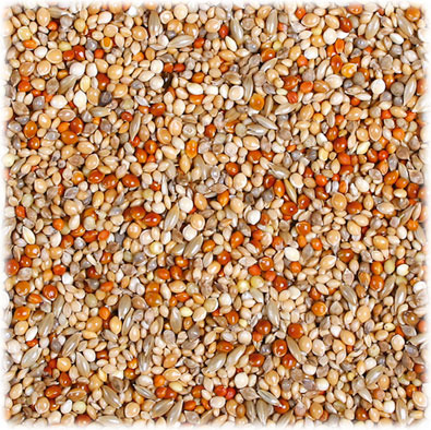 JR FARM Wellensittich-Schmaus, 1 kg, für Wellensittiche, natürliche Zutaten, ohne künstl. Zusätze.