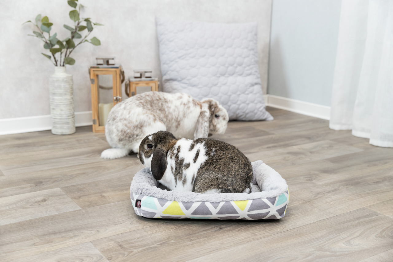 TRIXIE Bett für Kaninchen, gepolstert, modernes Design (Grau-Gelb-Blau), Zielgruppe: Kaninchenhalter, für Komfort & Gemütlichkeit.