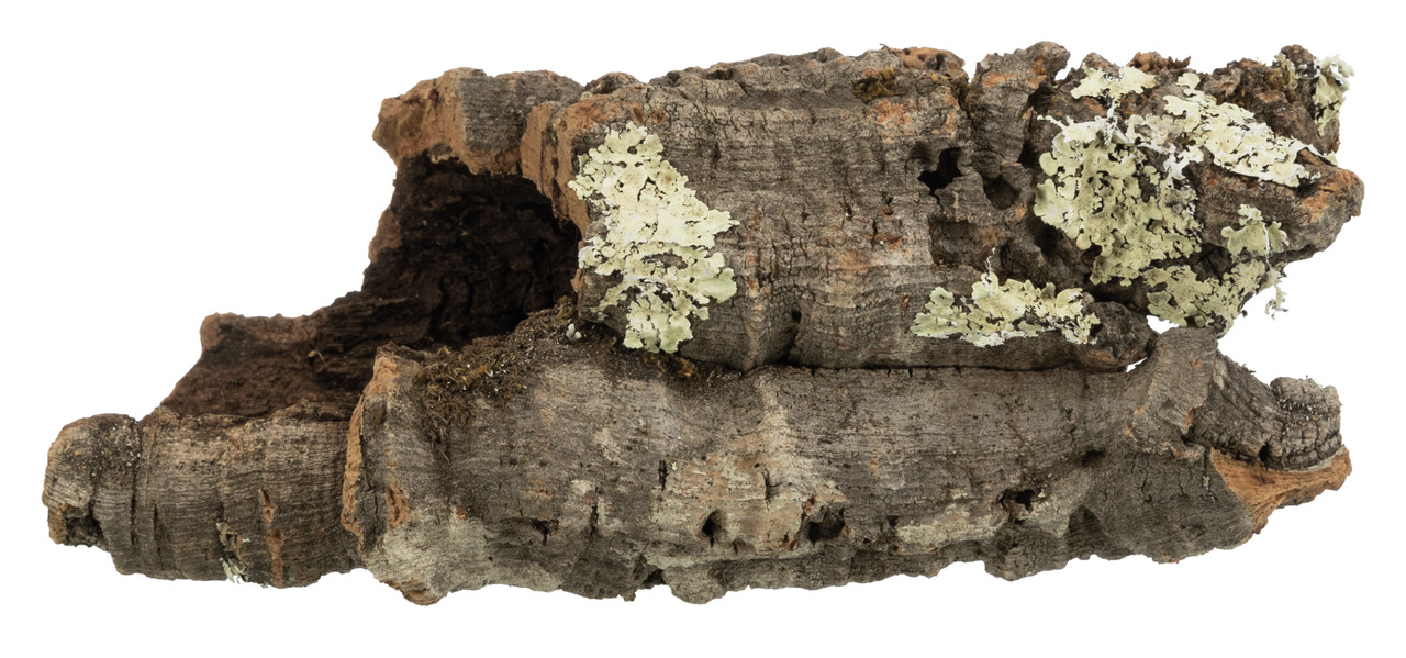 TRIXIE Korkröhre, Naturprodukt f. Kleintiere/Reptilien, hohle Korkröhre m. Moos, Versteck/Kletterelement, Maße u. Menge variabel.