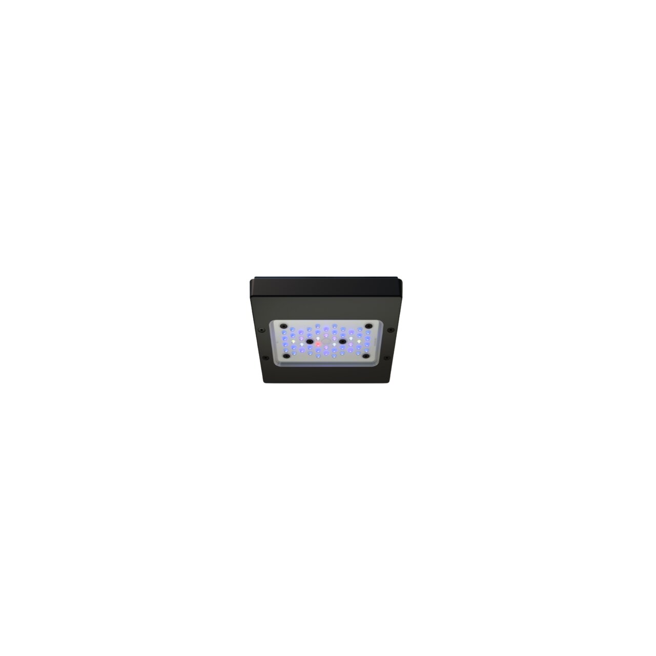 Das Bild zeigt die Ecotech Radion XR15 G5 Pro LED-Aquarienleuchte, eine hochwertige Beleuchtungslösung für Meerwasseraquarien. Die kompakte, schwarze Leuchte verfügt über ein rechteckiges Design mit einer Vielzahl von LEDs in verschiedenen Farben, die ein