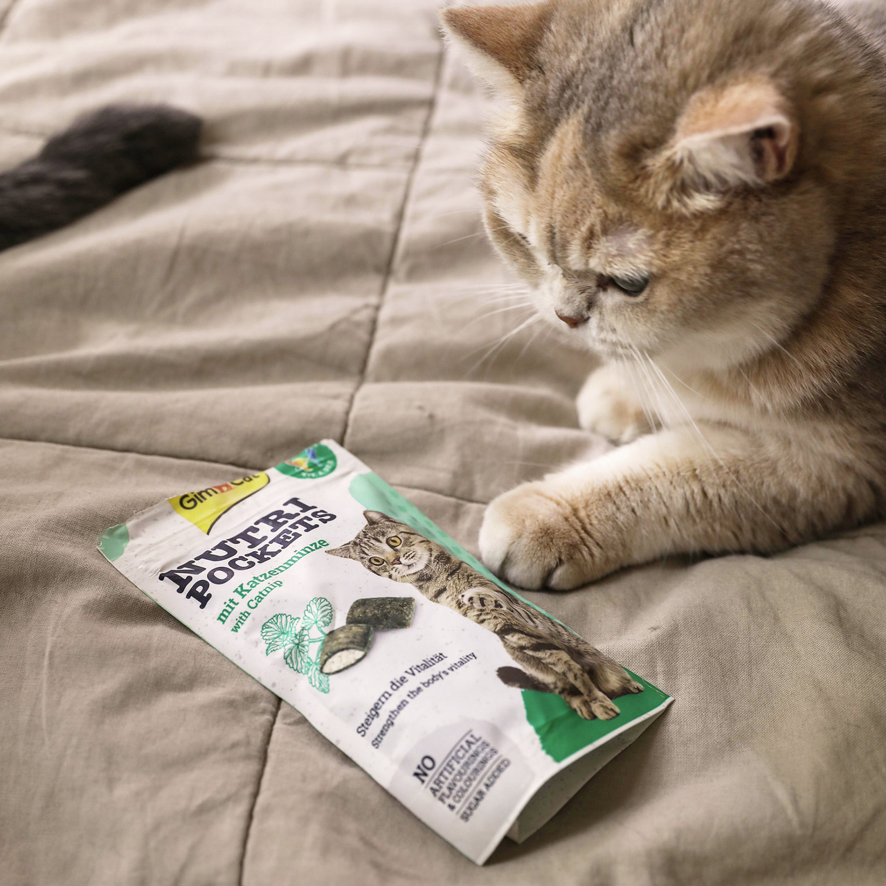 GimCat Nutri Pockets Katzenminze, für Katzen, steigert Vitalität, ohne künstl. Aromen. Menge nicht erkennbar.