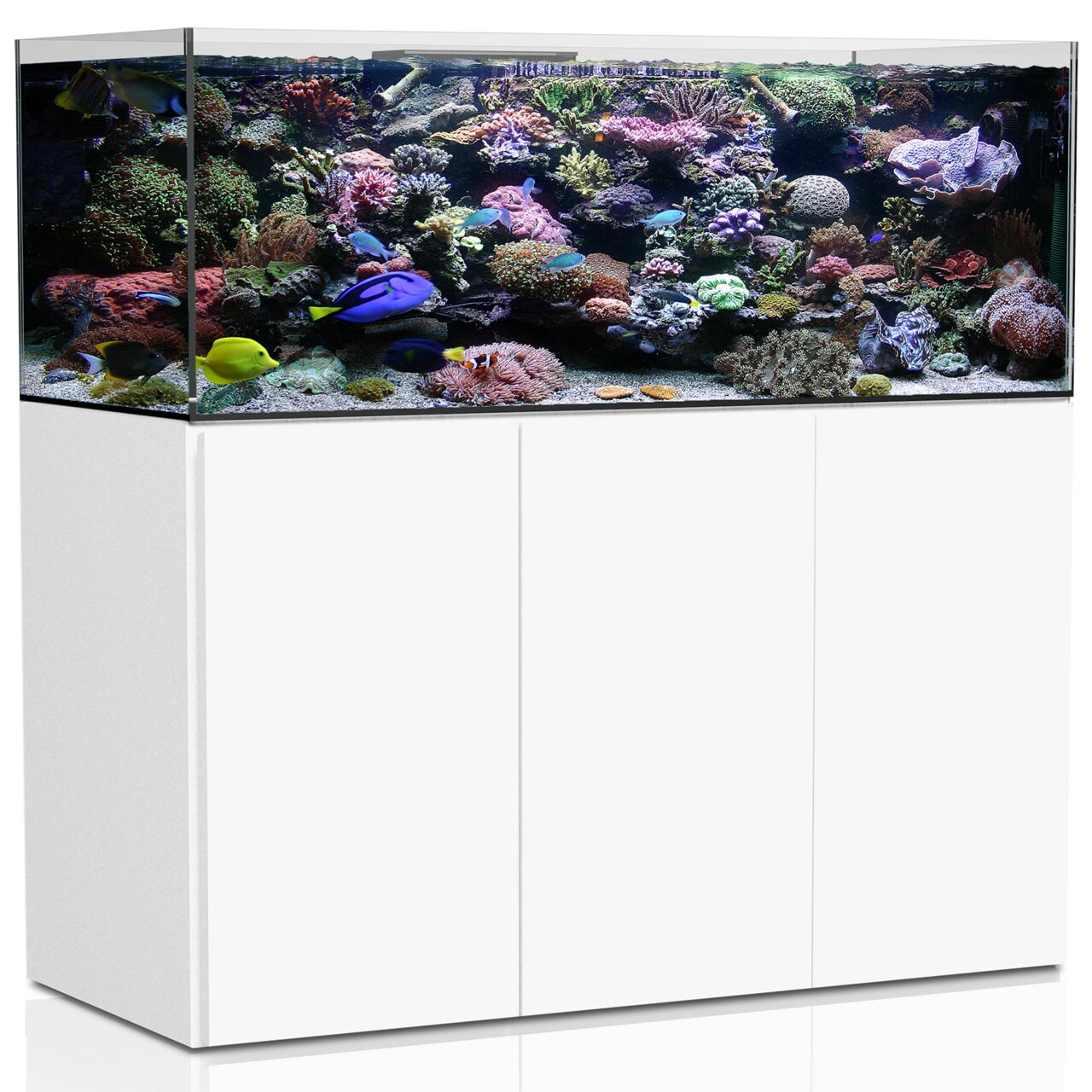 Das Bild zeigt ein hochwertiges Meerwasseraquarium der Marke Aqua Medic, Modell vermutlich „Aqua Medic Armatus 400“. Es ist für Aquaristik-Enthusiasten geeignet und bietet eine großzügige Unterwasserlandschaft mit Korallen, bunten Fischen und Pflanzen. Da