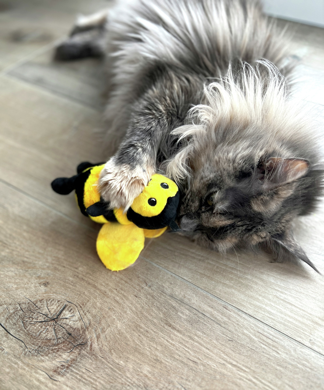 Aumüller Biene Katzenspielzeug, für Katzen, mit Katzenminze, fördert Spielfreude.