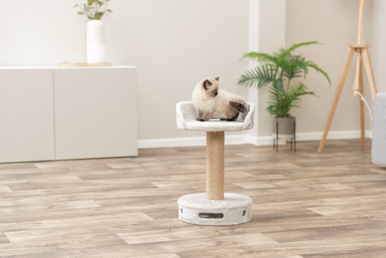 TRIXIE Kratzbaum für Katzen, jung & erwachsen, hellgrau, Sisal-Säule, gepolsterte Liegefläche, ideal zur Krallenpflege, Rückzugsort.
