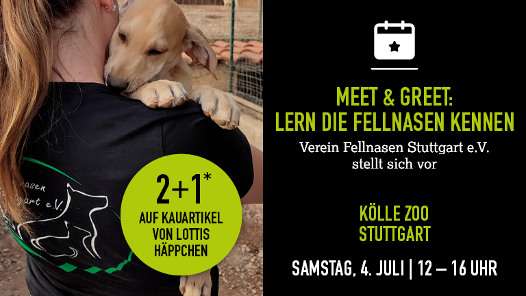 040726 Meetgreet Stuttgart Mobile 768x432px