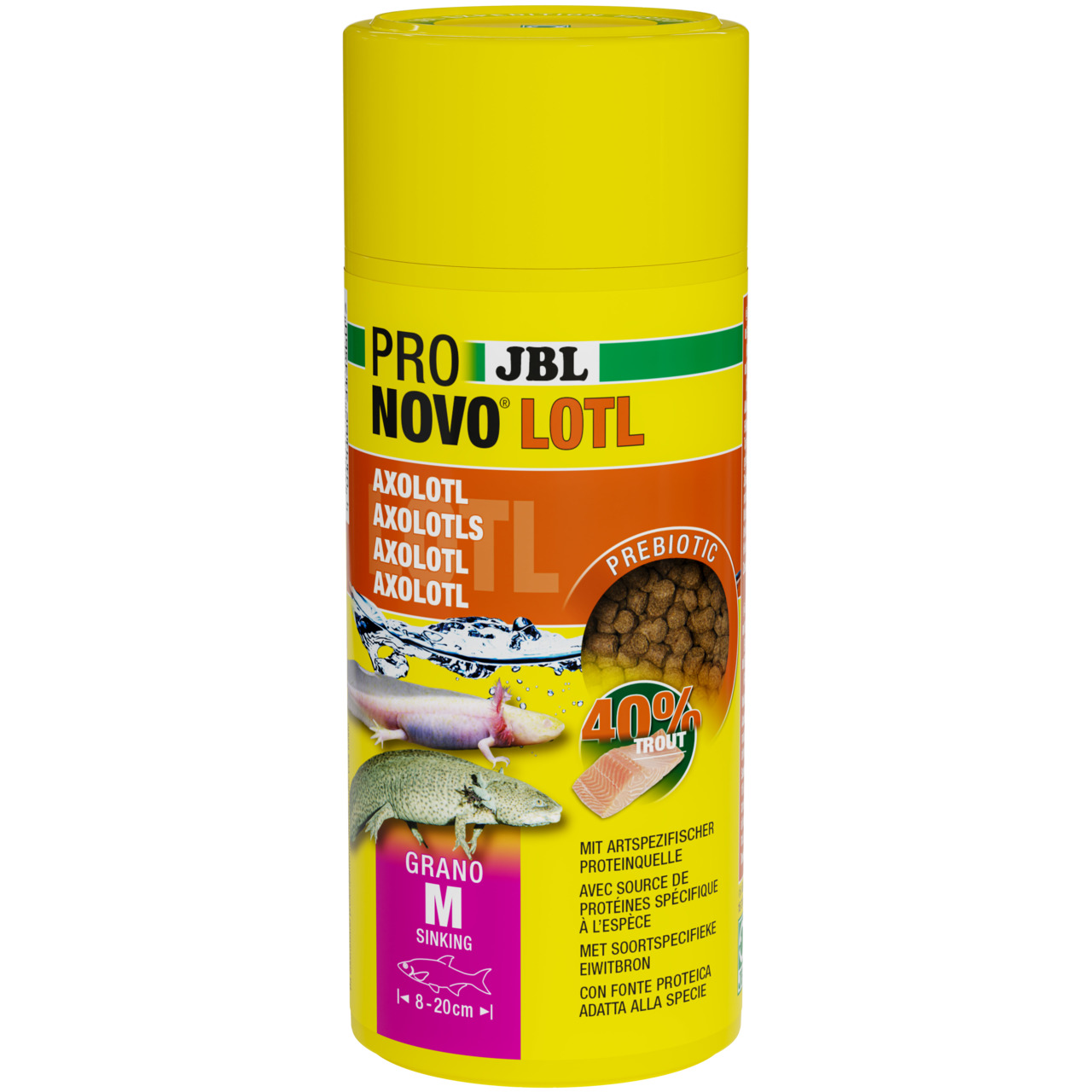 Das Bild zeigt eine gelbe Dose des Produkts „JBL ProNovo LOTL Grano M“, ein spezielles Tierfutter für Axolotl. Die Zielgruppe sind Axolotl mit einer Größe von 8–20 cm. Das Futter enthält 40 % Forelle als Proteinquelle und ist präbiotisch. Die Menge ist au