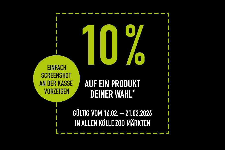 Ldht 2026 10p Markt Lp