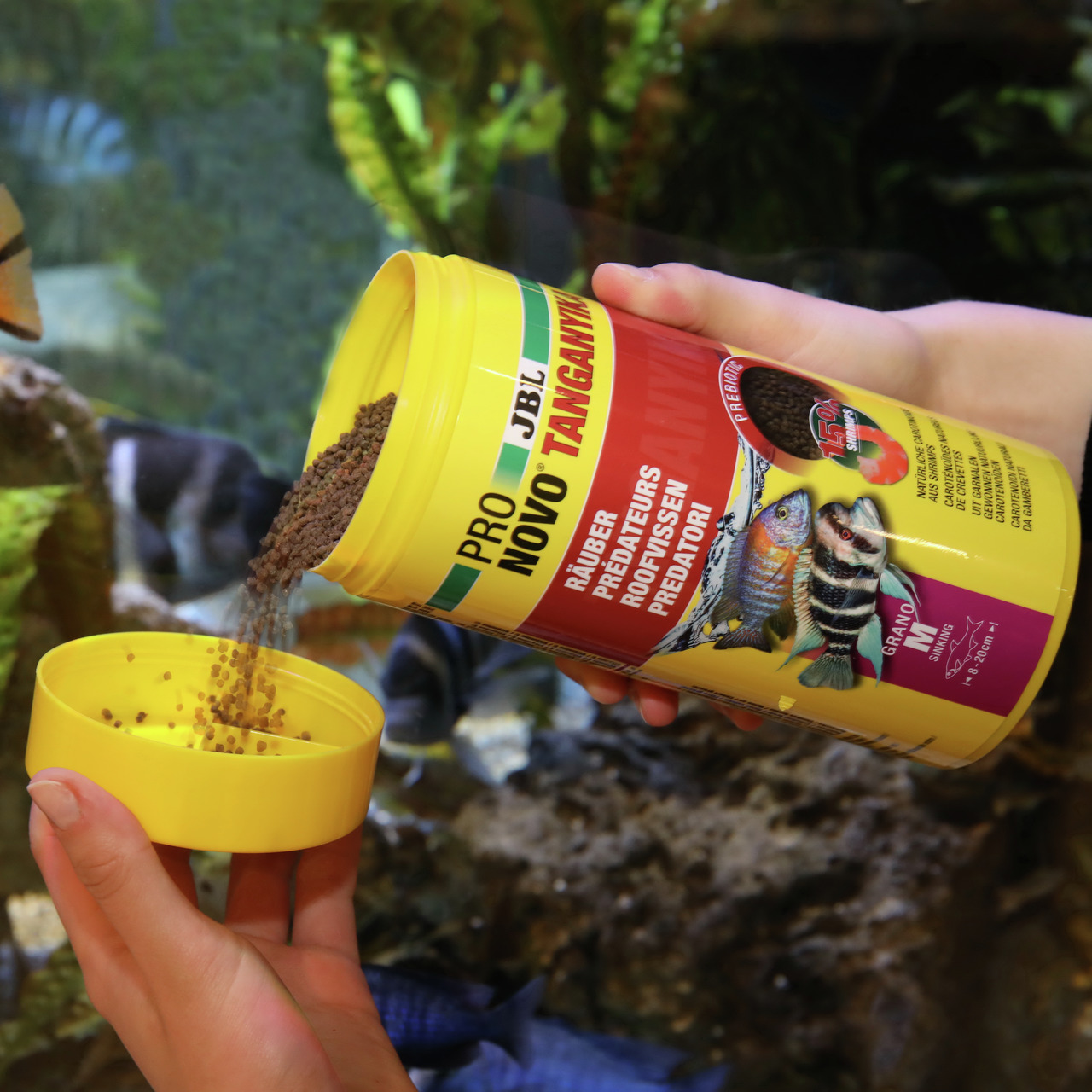 JBL ProNovo Tanganyika, Fischfutter für Räuber, Granulat, Tanganjikasee, 125 ml, ideal für Raubfische, hochwertige Nährstoffe.