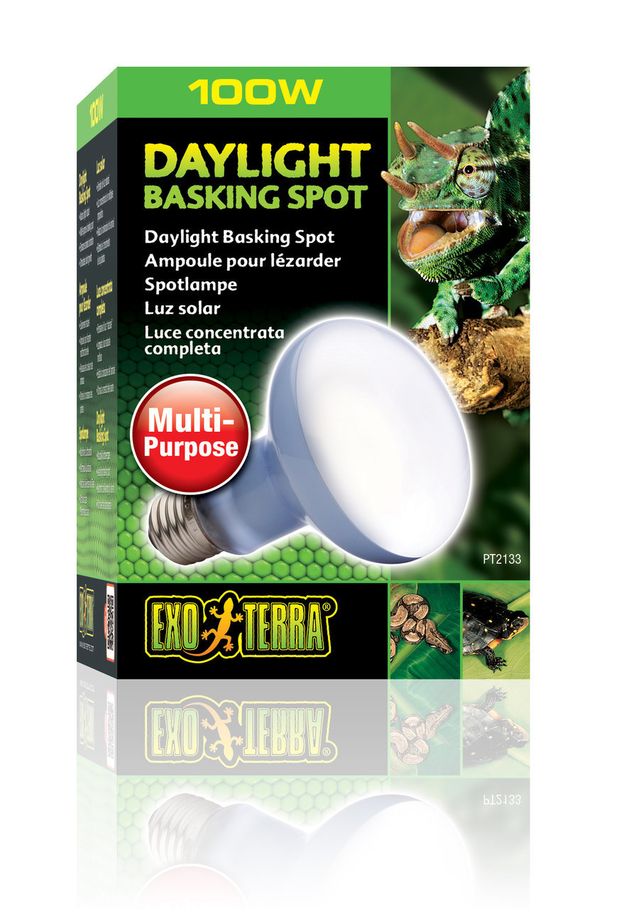 Exo Terra Daylight Basking Spot Lampe 100W, für Reptilien/Terrarientiere, Tageslicht, fördert Wohlbefinden/Aktivität, Multi-Purpose.