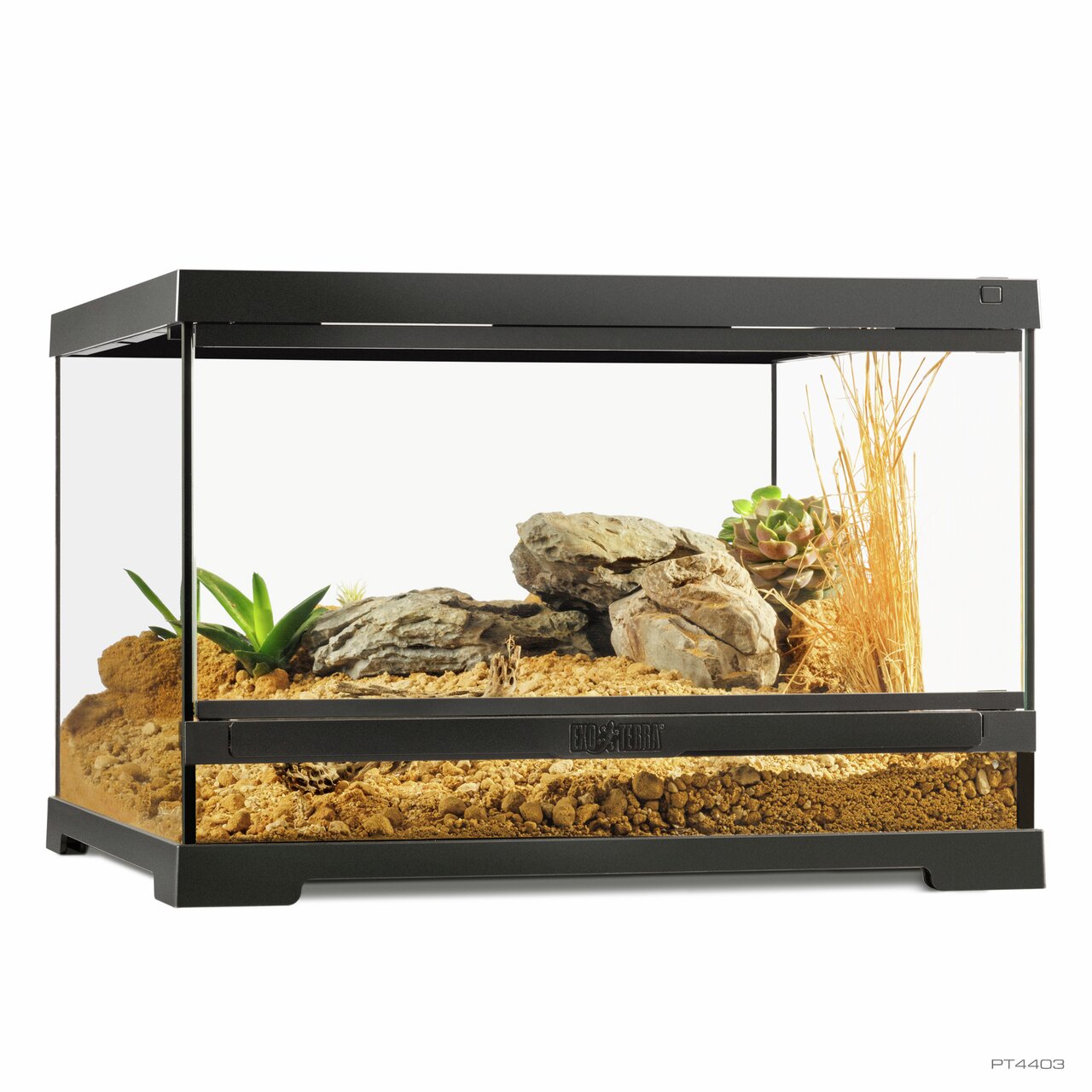Exo Terra Terrarium PT4403, Glasterrarium f. Reptilien-Amphibien, Wüstendeko (Sand, Felsen, Sukkulenten), optimale Belüftung, Sicht.