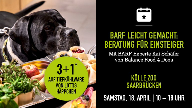 180426 Barf Saarbrcken Mobile 768x432px