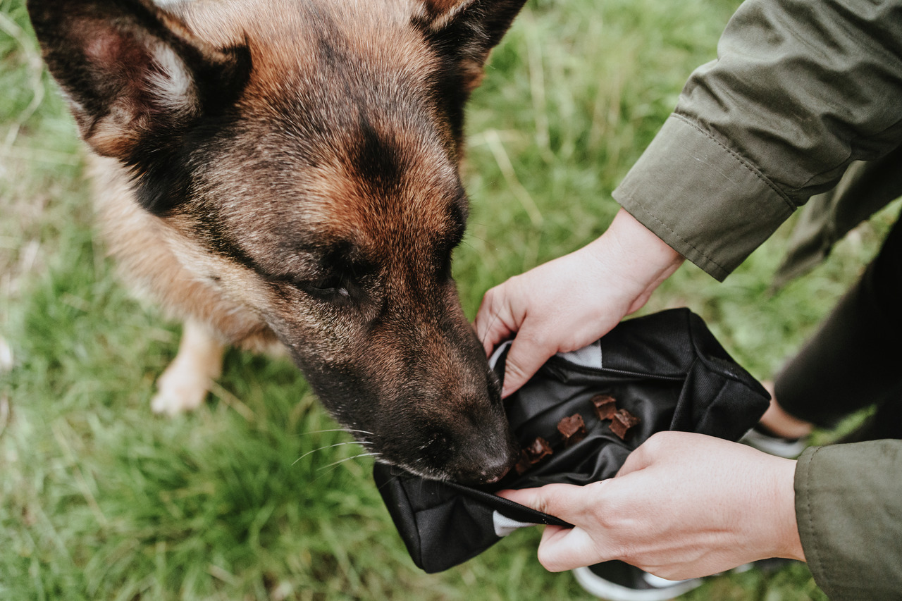 HUNTER Hundesnacks, Zielgruppe: Hunde, Geschmacksrichtung: Fleisch, ideal für Belohnungen/Training, in Würfeln, schwarze Tasche.